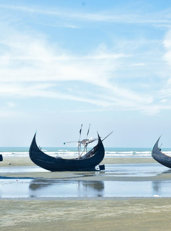 shomitro-kumar-ghosh-fUrrQ4y-ENI-unsplash